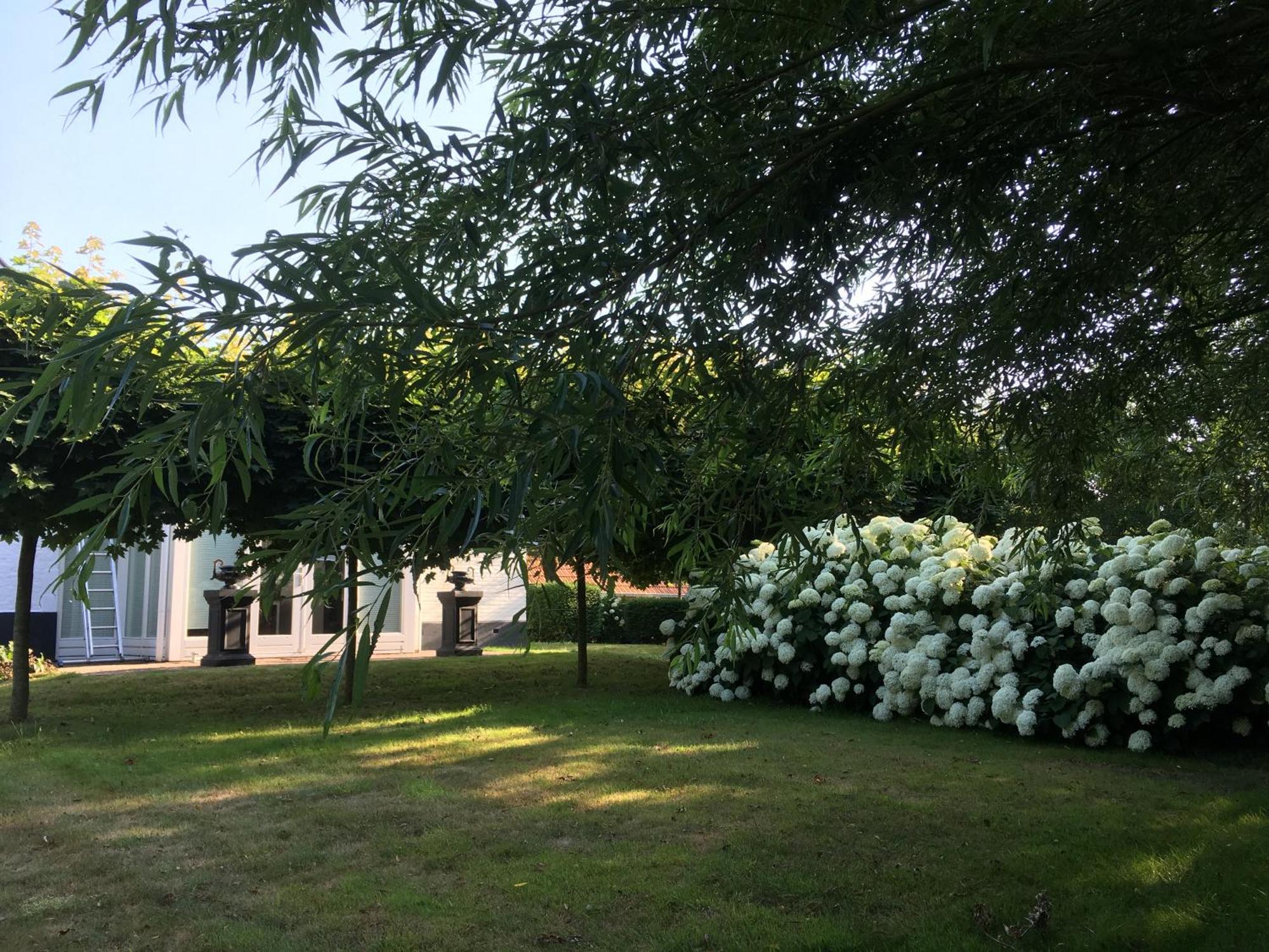 B&B De Tol Хульст Экстерьер фото